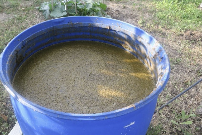 Розчин коров'яку і сульфату Розчин коров'яку і сульфату