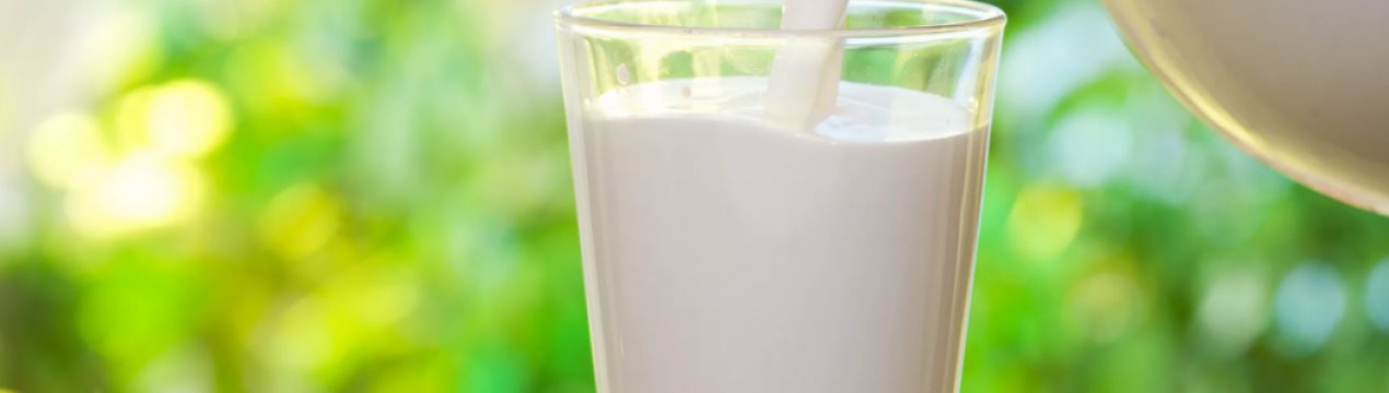 У Великобританії відновлено фінансування програми «шкільного молока»