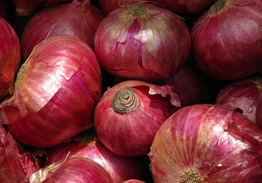 Цибулю Альвіна