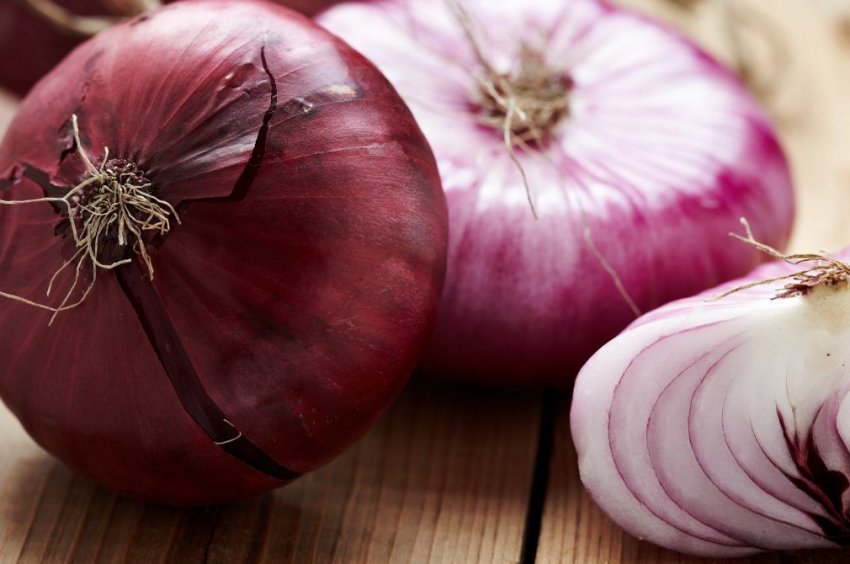 Цибулю Кармен