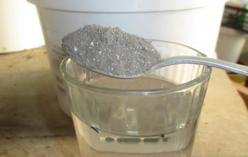 Зольний розчин для обприскування огірків Зольний розчин для обприскування огірків