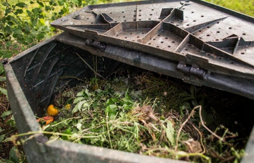 Компост для підгодівлі Компост для підгодівлі