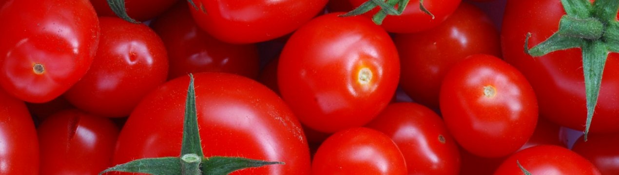 Томатна столиця України перебуває на Закарпатті