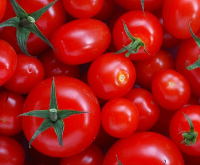 Томатна столиця України перебуває на Закарпатті