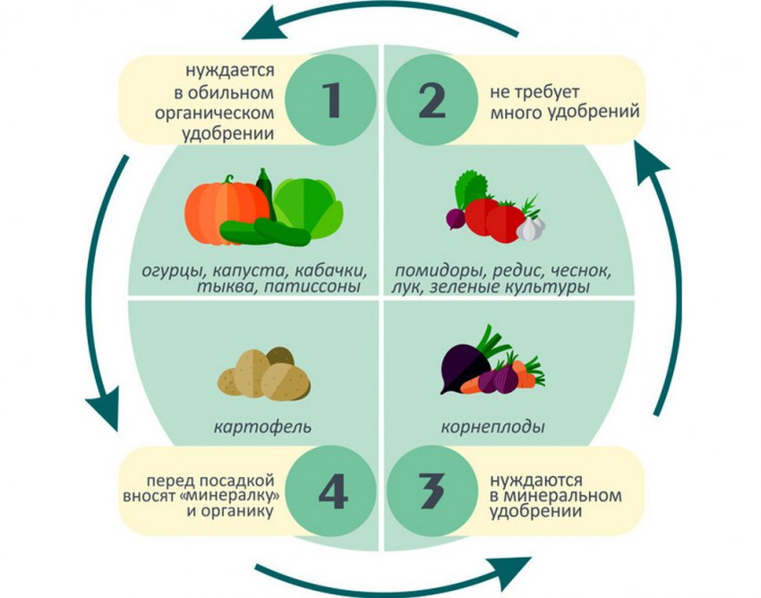Сівозміни овочевих культур