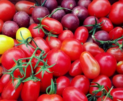 У Вінниці потрапили заражені томати з Польщі