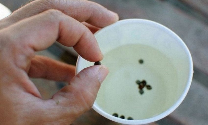 Калібрування