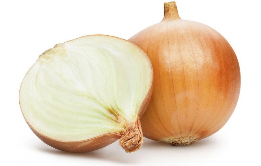 Цибулю для лікування геморою Цибулю для лікування геморою