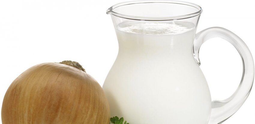 Цибулю з молоком від геморою Цибулю з молоком від геморою