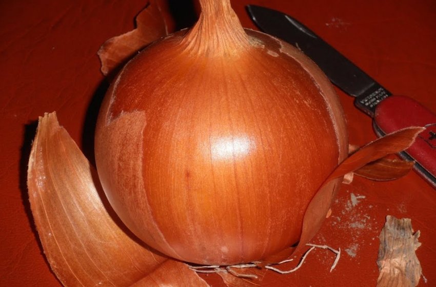 Цибулю Манас Цибулю Манас