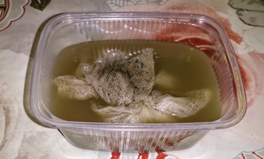 Стимулювання насіння цибулі Стимулювання насіння цибулі