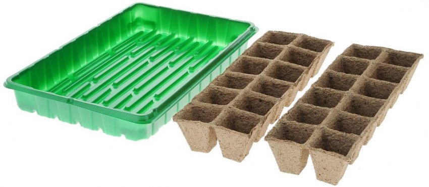 Рекомендована ємність для вирощування огіркової розсади Рекомендована ємність для вирощування огіркової розсади