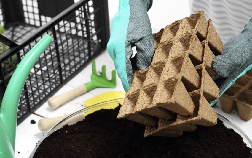 Підготовка грунту і горщиків до посіву насіння на розсаду Підготовка грунту і горщиків до посіву насіння на розсаду