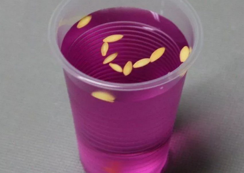 Знезараження