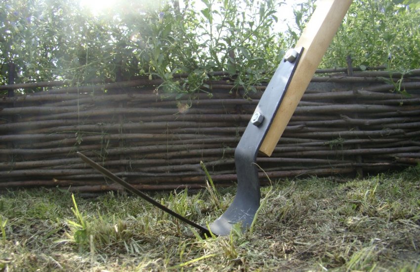 Плоскоріз Фокіна Плоскоріз Фокіна