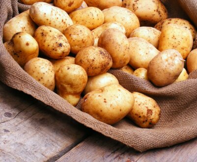 Характрістікі і опис сортів для вирощування в Підмосков'ї