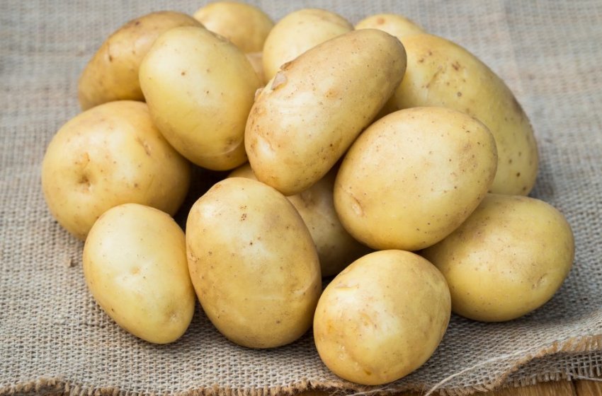 Картопля Остара Картопля Остара