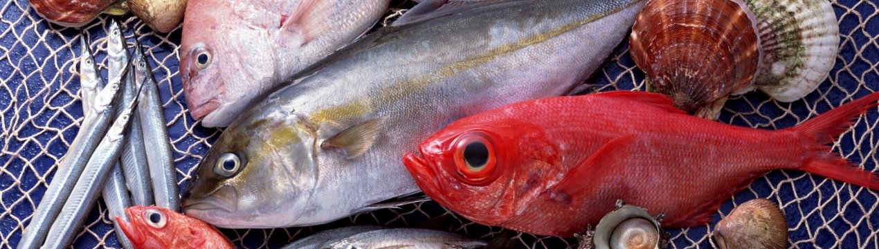 Калінінградські рибні колгоспи оголошують війну браконьєрам