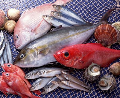 Калінінградські рибні колгоспи оголошують війну браконьєрам