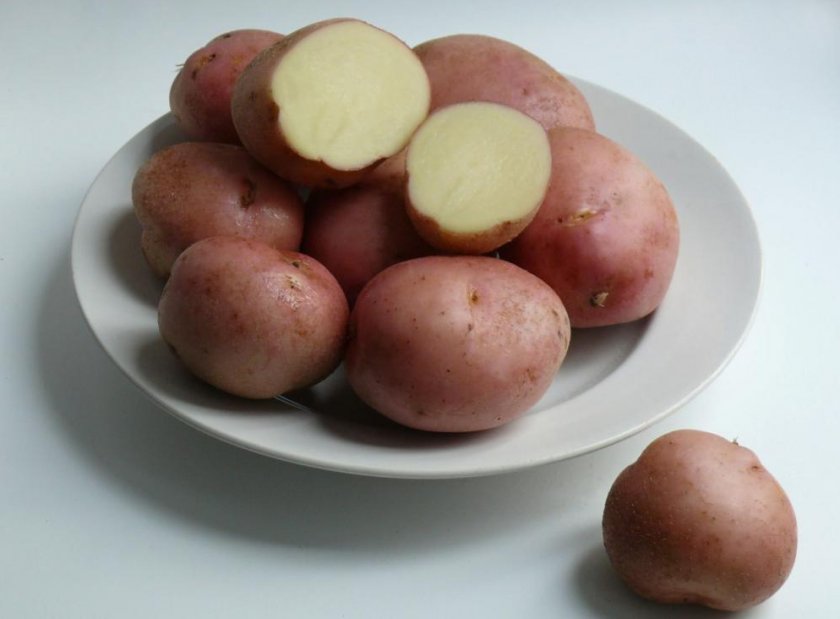 Картофель Романо Картофель Романо