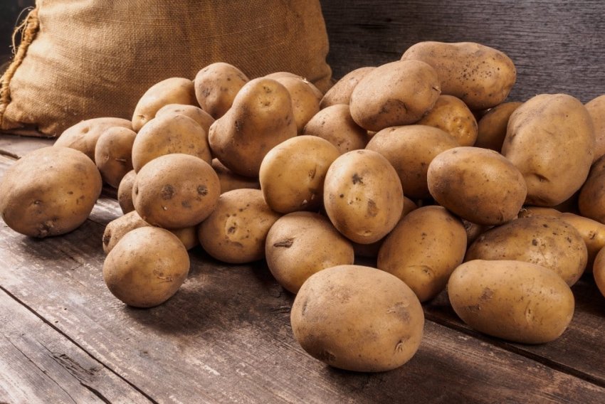 Картопля Улюбленець Картопля Улюбленець