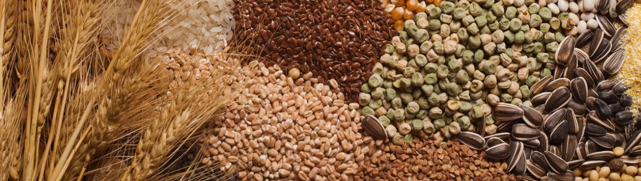 Аграрії Вінницької області відмовляються від цукрового буряку на користь сої