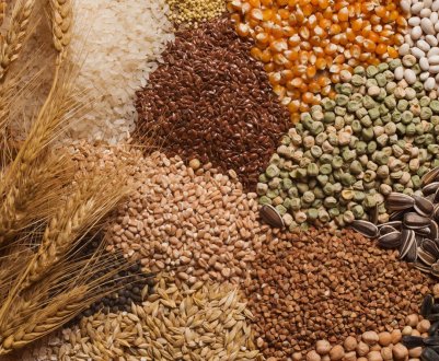 Аграрії Вінницької області відмовляються від цукрового буряку на користь сої