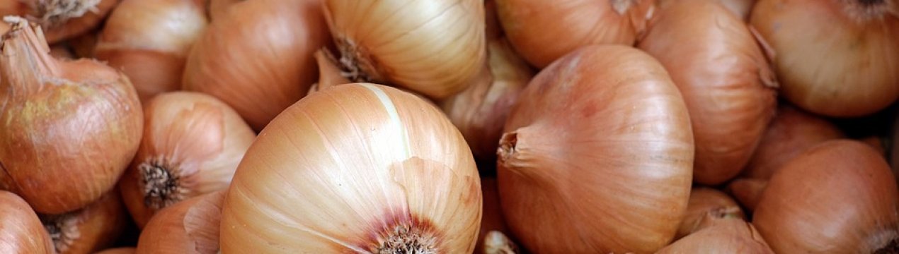 Український ринок лука: ціни в стагнації, попит невеликий