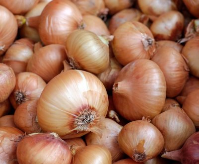 Український ринок лука: ціни в стагнації, попит невеликий