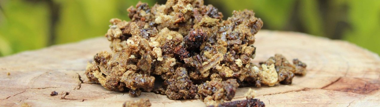 Симптоми алергії на прополіс і лікування