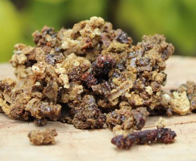 Симптоми алергії на прополіс і лікування