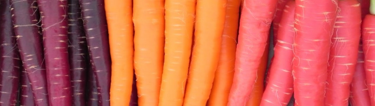 За місяць на російських прилавках морква подорожчала на 21%