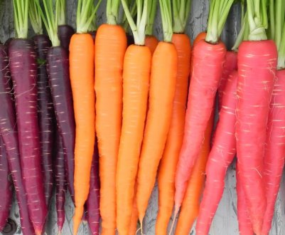 За місяць на російських прилавках морква подорожчала на 21%