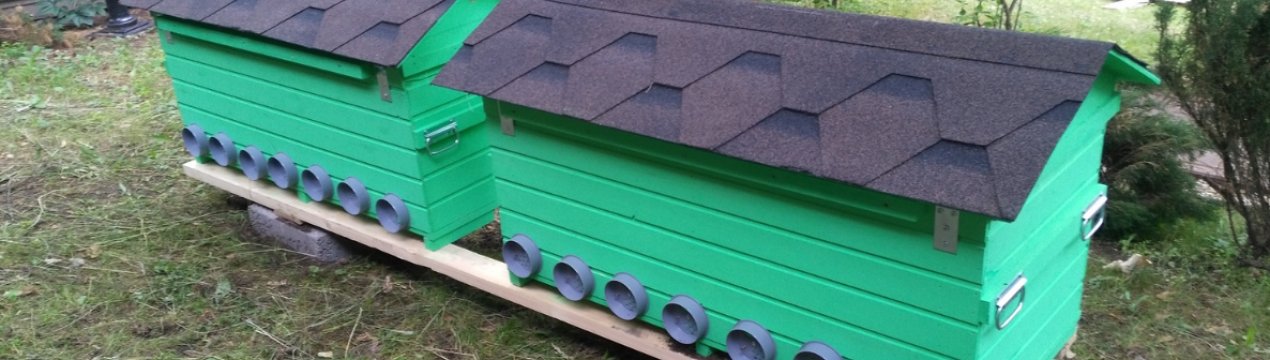 Особливості побудови Володимирських вуликів