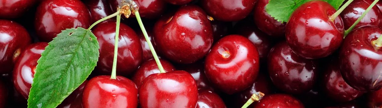 Черкаський садівник отримує з 1 гектара черешні $35 тисяч