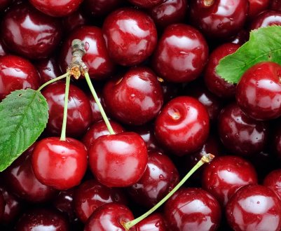 Черкаський садівник отримує з 1 гектара черешні $35 тисяч