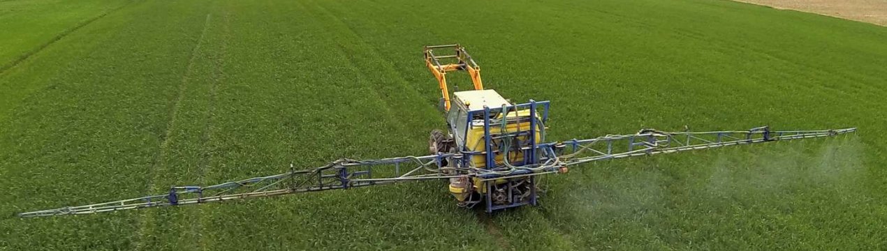 У Великобританії оновлена служба оповіщення про склеротинії