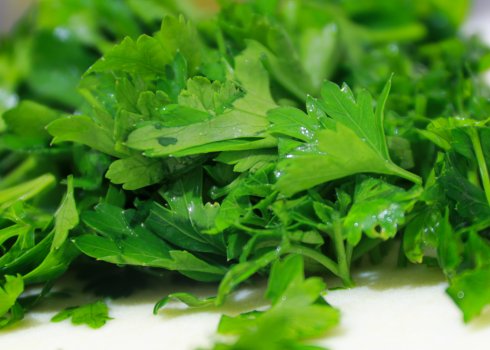 Особливості використання петрушки для переривання вагітності на ранніх строках