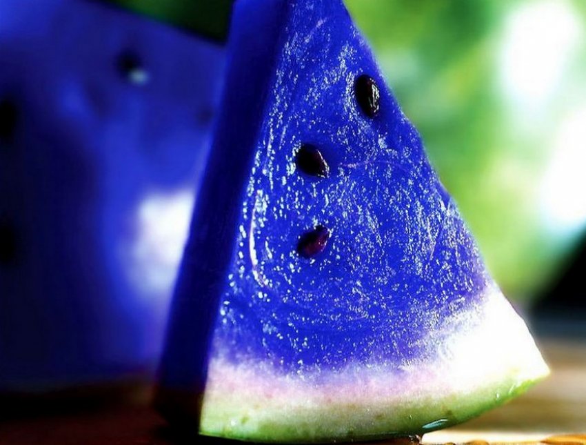 Синій кавун