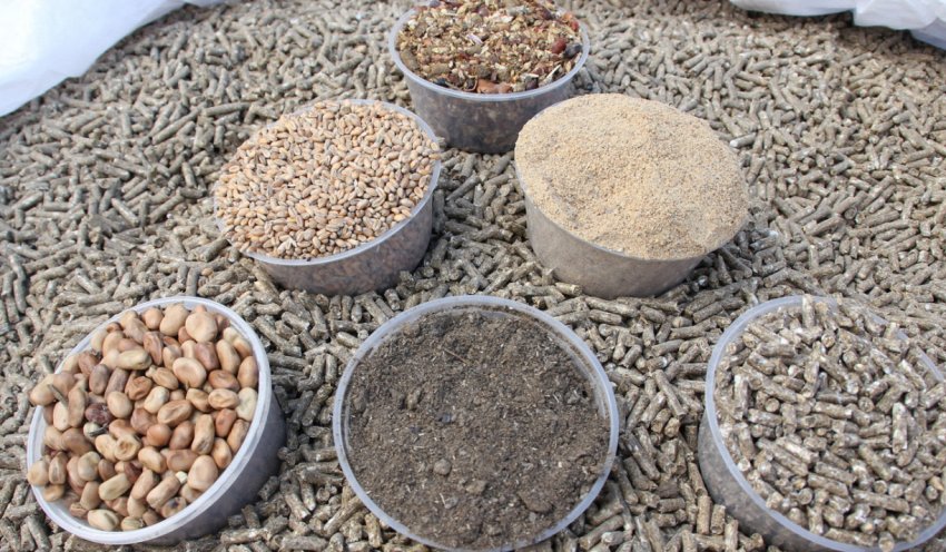 В США в штаті Іллінойс запущений новий завод з виробництва кормів для тварин В США в штаті Іллінойс запущений новий завод з виробництва кормів для тварин