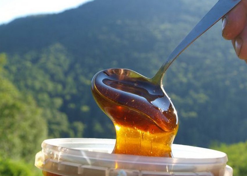 Алтайський мед Алтайський мед