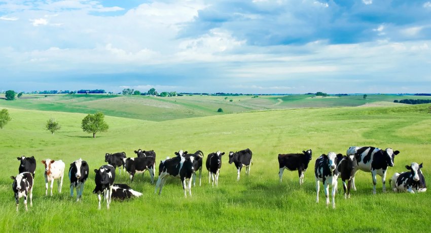 Джерела та шляхи зараження