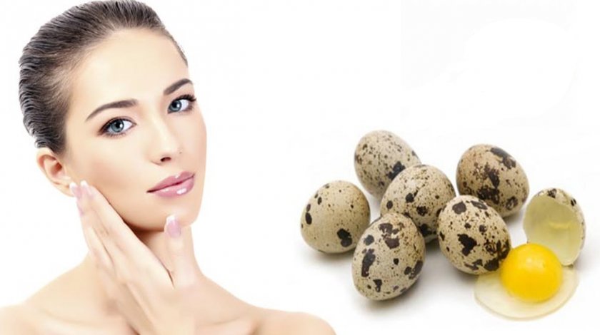 Перепелиные яйца в косметологии