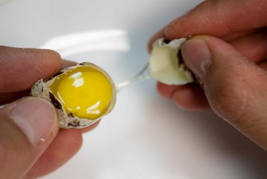Зачем пьют сырые яйца. Сырое яйцо. Яйцо перепелиное. Перепелиные яйца сырые. Разбить перепелиные яйца.