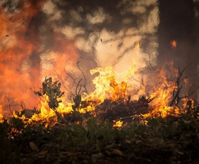 Стара подружня пара з Житомирської області загинула через спалювання сухостою