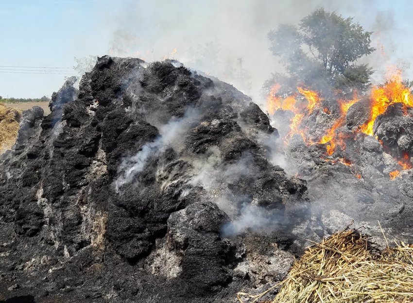 Стара подружня пара з Житомирсокй області загинула через спалювання сухостою