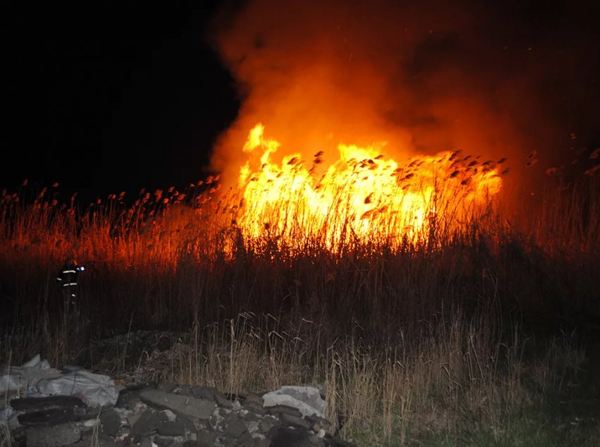 Стара подружня пара з Житомирсокй області загинула через спалювання сухостою