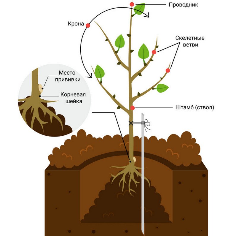 Схема посадки
