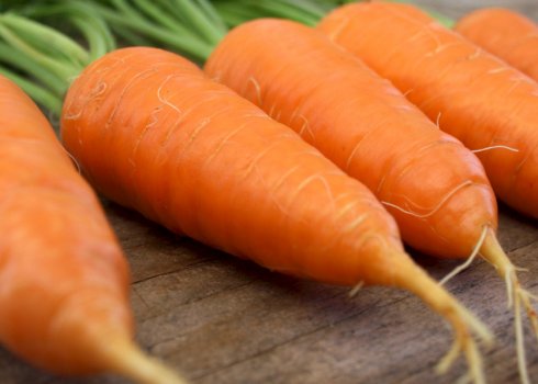 Особливості догляду та вирощування моркви Алтайська лакомка