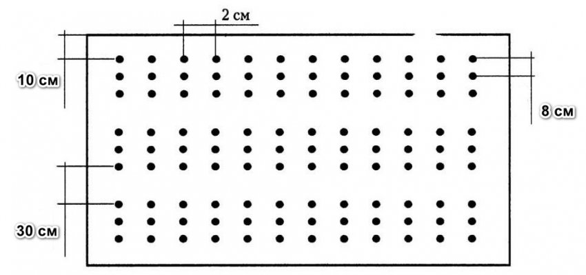 Схема посадки моркви